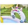 Unicorn Spray Pool