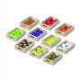 Fruit & Vegetable 10 Box Set