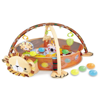 ACTIVITY GYM & BALL PIT