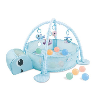 ACTIVITY GYM & BALL PIT